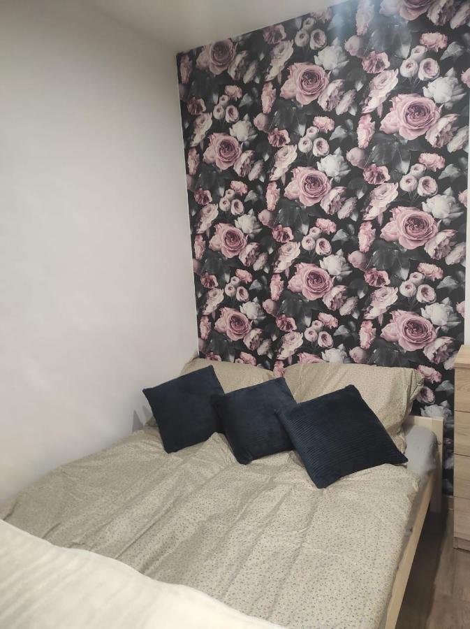 Walbrzych Pilsuckiego News Apartament Lejlighed Eksteriør billede