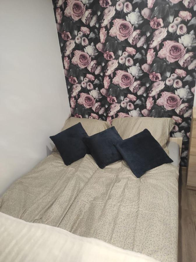 Walbrzych Pilsuckiego News Apartament Lejlighed Eksteriør billede